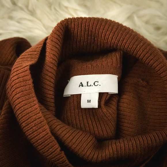 ALC Size Medum M Desi Brown Ribbed Turtleneck Button Merino Wool Sweater - Picture 5 of 8